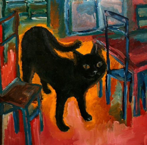 Чёрный  котик